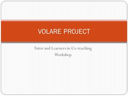 Tutor and Learners in Co-teaching Workshop VOLARE PROJECT.