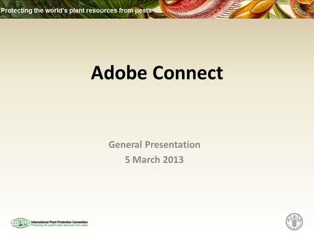 Adobe Connect General Presentation 5 March 2013. What is Adobe Connect? Adobe Connect is an online tool that is used to set up calls for discussion or.