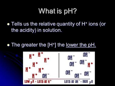 What is pH? Tells us the relative quantity of H + ions (or the acidity) in solution. Tells us the relative quantity of H + ions (or the acidity) in solution.