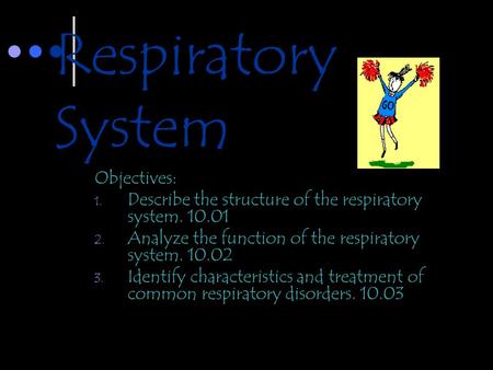 Respiratory System Objectives: