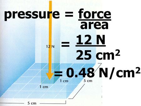 Pressure = force area = 12 N 25 cm 2 = 0.48 N/cm 2.