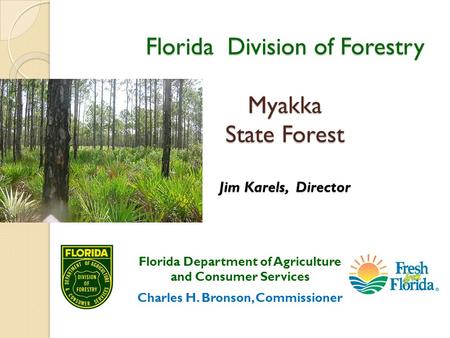 Florida Division of Forestry Myakka State Forest Jim Karels, Director Florida Department of Agriculture and Consumer Services Charles H. Bronson, Commissioner.