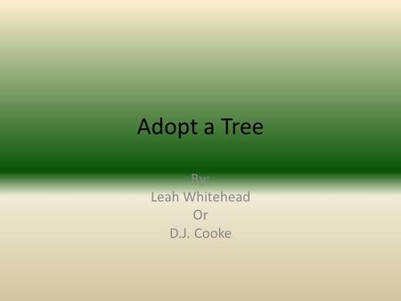 Adopt a Tree By: Leah Whitehead Or D.J. Cooke The fruit of White Oak is an acorn, growing over an inch long, with a warty cap. Many animals eat these.