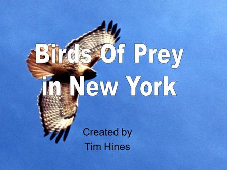 Created by Tim Hines. Table of Contents Peregrine Falcon Osprey Bald Eagle Red Tailed Hawk Broad Winged Hawk Cooper’s Hawk Sharp Shinned Hawk Barred Owl.