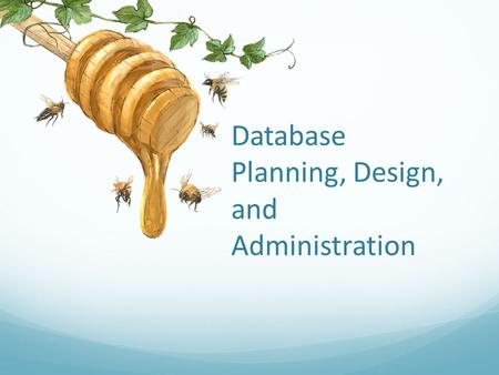 Database Planning, Design, and Administration