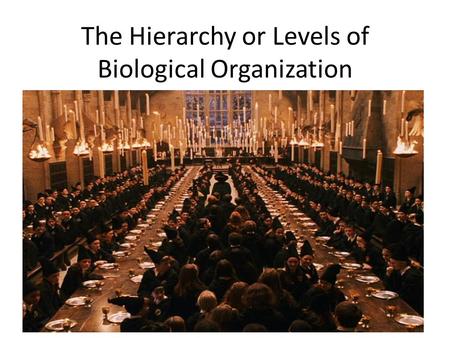 The Hierarchy or Levels of Biological Organization