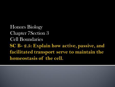 Honors Biology Chapter 7Section 3 Cell Boundaries