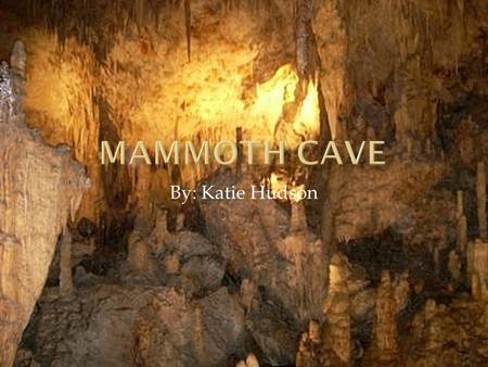 By: Katie Hudson. Mammoth Cave was established July 1941 to keep the cave system preserved and to protect natural areas. The Green and Nolin River is.