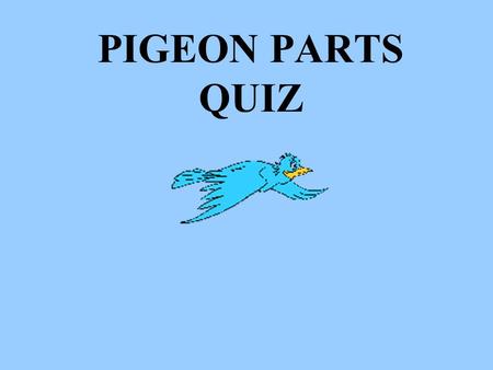 PIGEON PARTS QUIZ. 1. Name the extra membrane over the eye.
