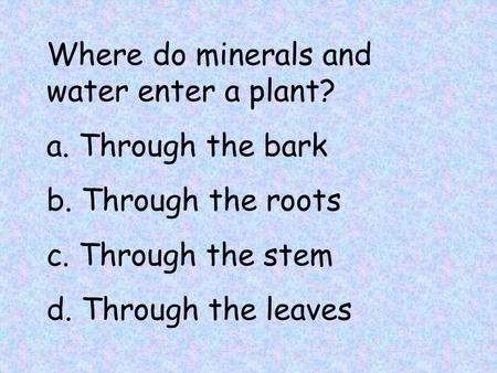 Where do minerals and water enter a plant? a. Through the bark b. Through the roots c. Through the stem d. Through the leaves.