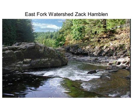 East Fork Watershed Zack Hamblen. Info about Lewis River watersheds 212 square miles in the area Comprised primarily of rural and forested land More than.