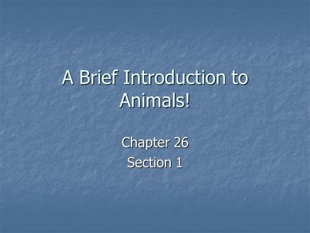 A Brief Introduction to Animals! Chapter 26 Section 1.