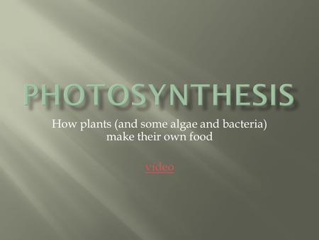How plants (and some algae and bacteria) make their own food video