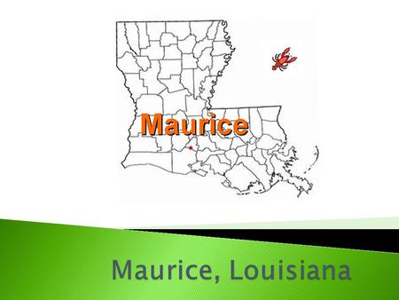 Maurice, Louisiana is a small village in South Louisiana. Maurice is known as the Gateway to Vermilion Parish”. Look at the map. Can you find Vermilion.