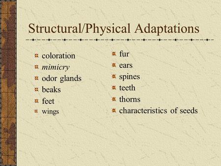Structural/Physical Adaptations