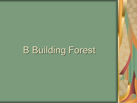 B Building Forest. Our forest was planted by the children of B Building in 1993 with donations from local nurseries.