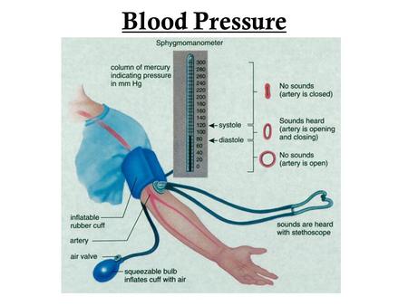 Blood Pressure.