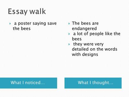 What I noticed… What I thought…  a poster saying save the bees  The bees are endangered  a lot of people like the bees  they were very detailed on.