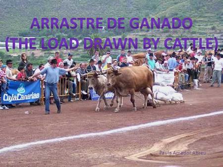 Paula Amador Abreu. This sport belongs to the Castilian culture diffusion, because the cattle of this kind didn’t exist in the Canary Islands before the.