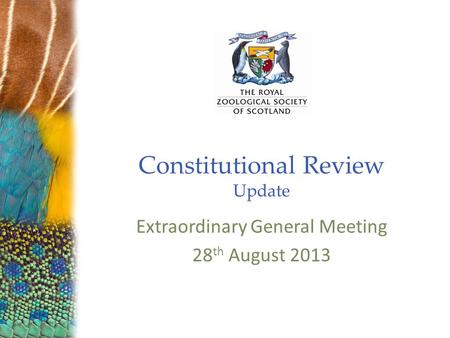 Constitutional Review Update Extraordinary General Meeting 28 th August 2013.