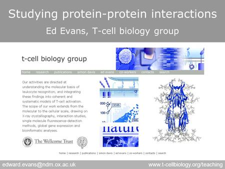 Studying protein-protein interactions Ed Evans, T-cell biology group.