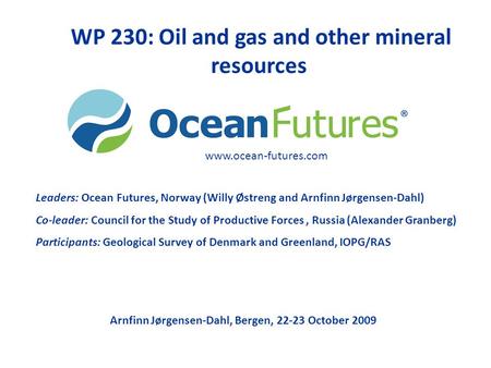 WP 230: Oil and gas and other mineral resources