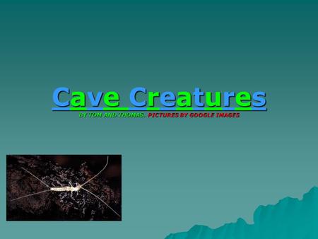 Cave Creatures BY TOM AND THOMAS. PICTURES BY GOOGLE IMAGES.
