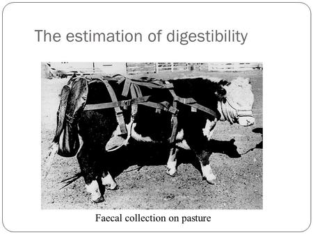 The estimation of digestibility