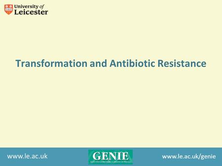 Www.le.ac.uk Transformation and Antibiotic Resistance www.le.ac.uk/genie.