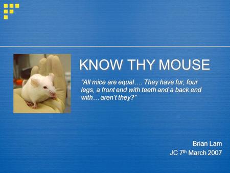 KNOW THY MOUSE “All mice are equal…. They have fur, four legs, a front end with teeth and a back end with… aren’t they?” Brian Lam JC 7 th March 2007 Brian.