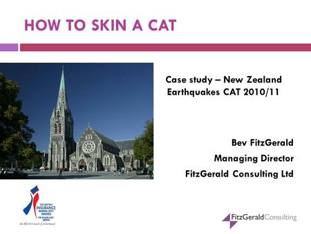 HOW TO SKIN A CAT Case study – New Zealand Earthquakes CAT 2010/11 Bev FitzGerald Managing Director FitzGerald Consulting Ltd.