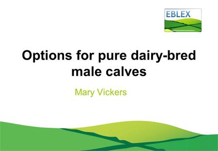 Options for pure dairy-bred male calves Mary Vickers.