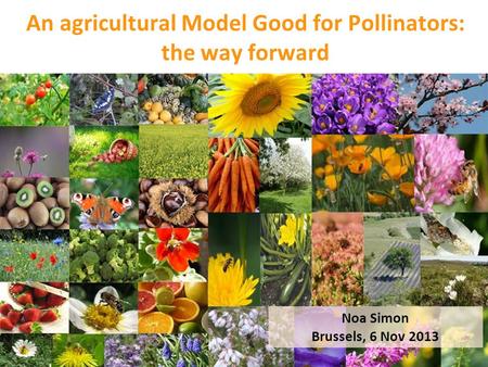 An agricultural Model Good for Pollinators: the way forward Noa Simon Brussels, 6 Nov 2013.