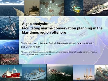 A gap analysis: facilitating marine conservation planning in the Maritimes region offshore Tracy Horsman 1, Jennifer Smith 2, Melanie Hurlburt 1, Graham.