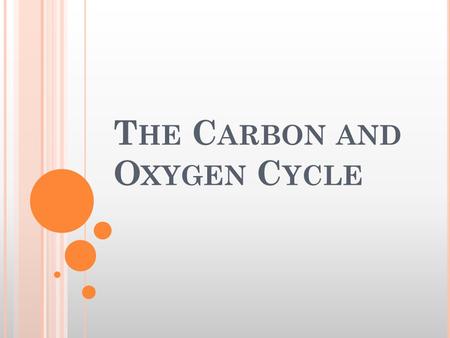 T HE C ARBON AND O XYGEN C YCLE. A FEW PROCESSES THAT CONTROL THE CARBON AND OXYGEN CYCLE : Photosynthesis-respiration cycle Burial of organic carbon.