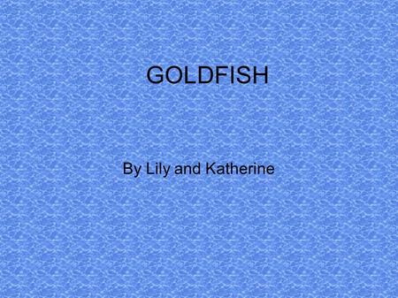 GOLDFISH By Lily and Katherine. HEALTHY FISH Watch your fish swimming to check if it is healthy. When you buy a fish first put the bag in the tank for.