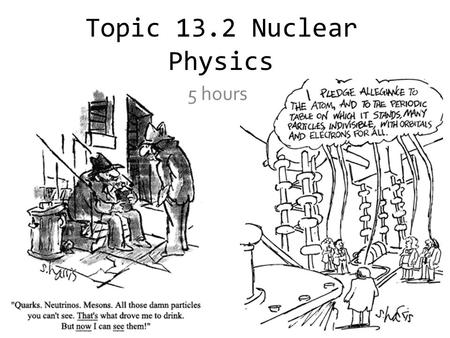 Topic 13.2 Nuclear Physics 5 hours.