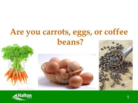 1 Are you carrots, eggs, or coffee beans?. How to “build and nurture” resilience in your teen April 5, 2012.