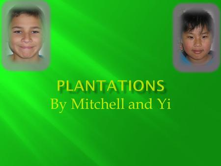By Mitchell and Yi  Plantations are large farms where African Americans worked as slaves to plant crops.