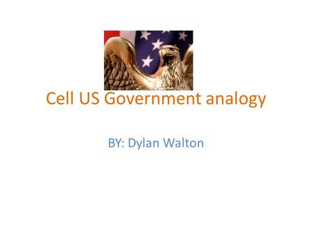 Cell US Government analogy