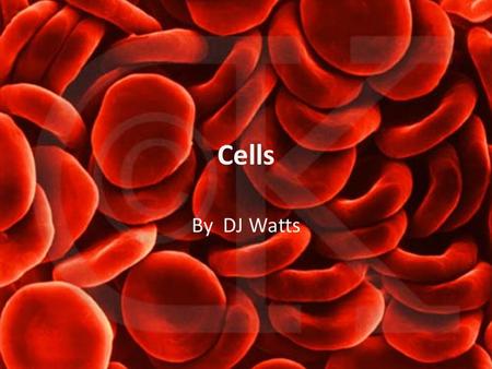 Cells By DJ Watts. The Cell Theory 1) All organisms are composed of one or more cells 2) Cells are the smallest unit of life 3) All cells come from pre-existing.