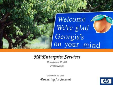 HP Enterprise Services Hometown Health Presentation November 12, 2009 Partnering for Success!