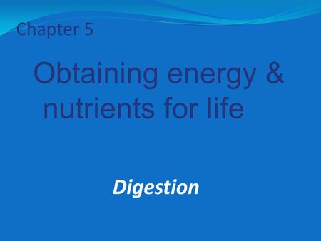 Chapter 5 Obtaining energy & nutrients for life Digestion.