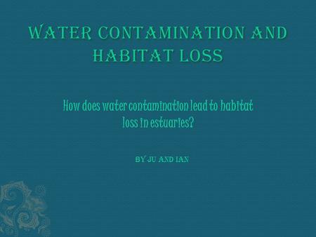 How does water contamination lead to habitat loss in estuaries? By Ju and Ian.