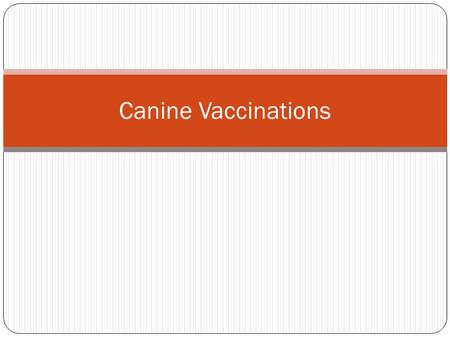 Canine Vaccinations. Core vs. Non-Core vaccines Core vaccines for dogs are those that should be given to every dog. 'Noncore' vaccines are recommended.