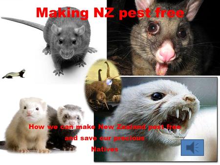 Making NZ pest free How we can make New Zealand pest free and save our precious Natives.