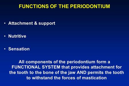 FUNCTIONS OF THE PERIODONTIUM