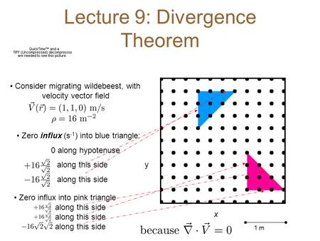 Lecture 9: Divergence Theorem Consider migrating wildebeest, with velocity vector field 1 m x y Zero influx (s -1 ) into blue triangle: 0 along hypotenuse.