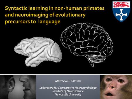 Matthew G. Collison Laboratory for Comparative Neuropsychology Institute of Neuroscience Newcastle University.