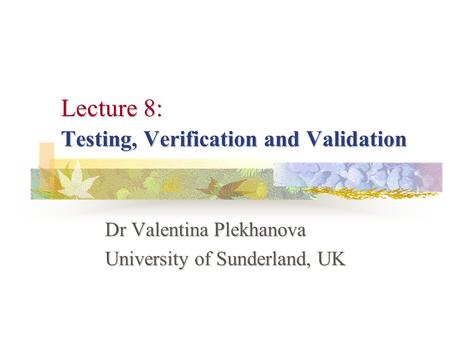 Lecture 8: Testing, Verification and Validation